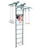 Шведская стенка Midzumi Hoshi Ton Basketball Shield (ментоловый сорбет)