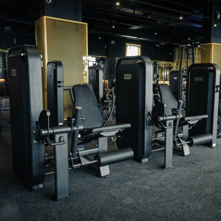 E7002 Разгибание ног сидя. Стек 110 кг