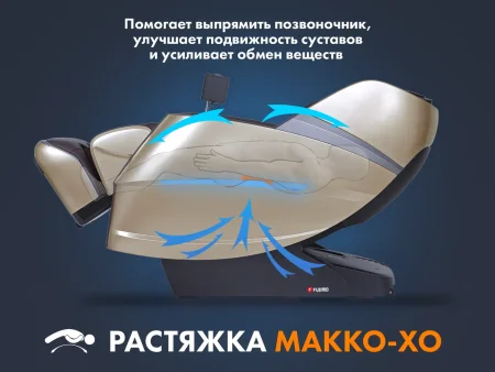 Массажное кресло FUJIMO 氣 Combat 4D Коричневый