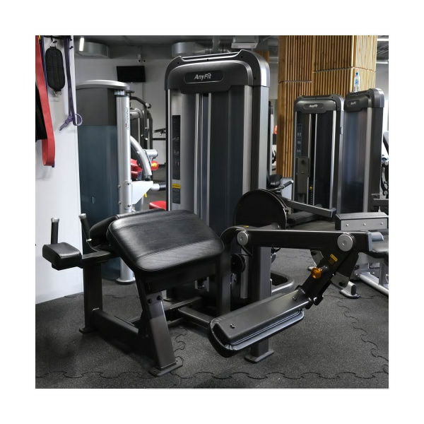 Сгибание ног AnyFit PE203-66