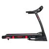 Беговая дорожка CardioPower T30