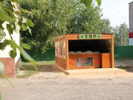 Пневматический тир За Родину!