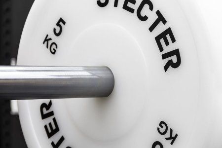 Технический диск для штанги 5 кг STECTER (D=450 мм, пластик)