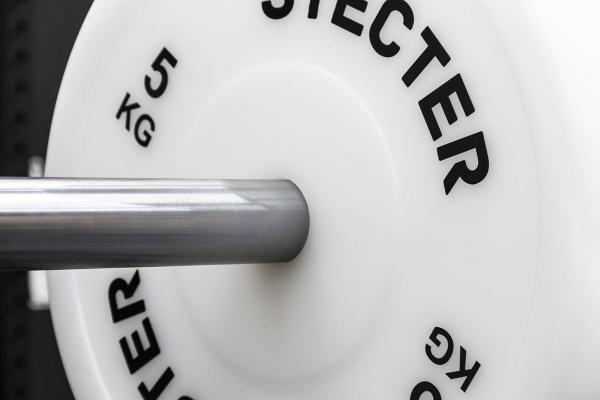 Технический диск для штанги 5 кг STECTER (D=450 мм, пластик)