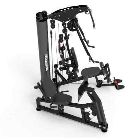 Мультистанция Apex Intense F 800В с жимом ногами