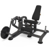 Разгибание ног на свободных весах AnyFit T05