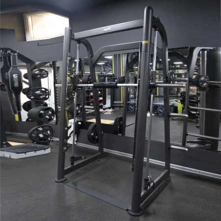 Машина Смита AnyFit PEB201