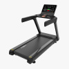 Электрическая беговая дорожка Protrain PR-BCTM-02 (LED)