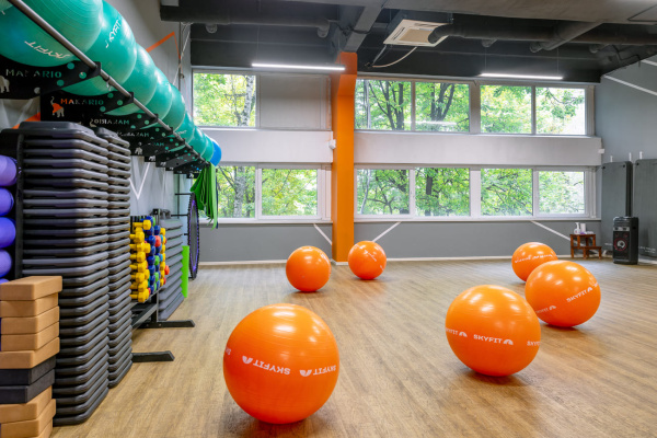 SKYFIT Гимнастический мяч SKYFIT, 65см