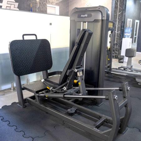 Жим ногами AnyFit PE207-123