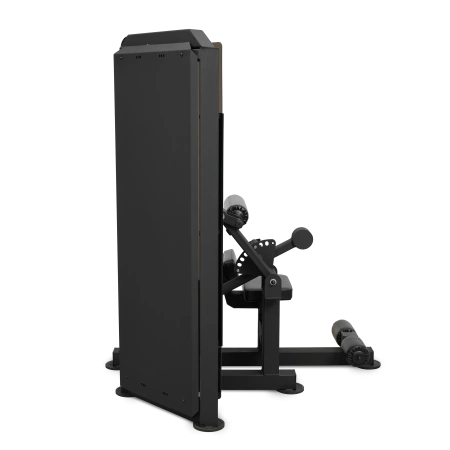 Пресс-машина профессиональный BRONZE GYM PARTNER ML-812