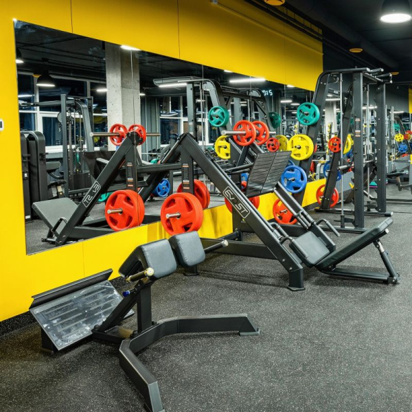 Гиперэкстензия DHZ (Back Extension)