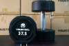 Гантели YOUSTEEL EVO  полиуретановая 37,5 кг