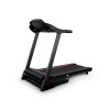 Электрическая беговая дорожка Everyfit 74305B