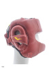 Шлем Everlast Elite Leather Красный L/XL