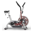 Велотренажер STAR TRAC TURBO TRAINER 9