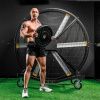 FS300 Вентилятор мобильный (для тренажерного и функционального зала) DHZ