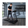 Электрическая беговая дорожка Everyfit 74305B