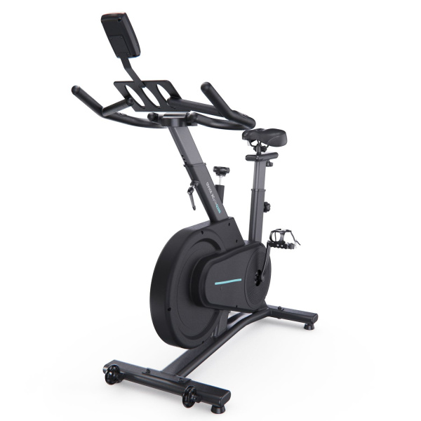 Спин-байк DFC OVICX Q200-O