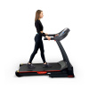 Электрическая беговая дорожка Everyfit 74500B