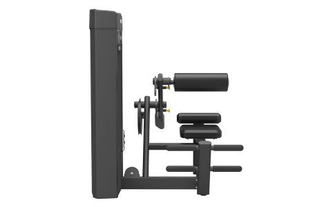 Разгибание спины Spirit SP-4310