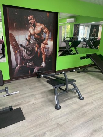 Т-образная тяга Fitex PRO FTX-6236
