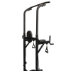 Стойка для подтягиваний с эспандерами Royal Fitness