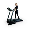 Электрическая беговая дорожка Everyfit 74501B