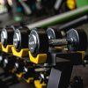 Гантельный ряд профессиональный (шаг 2,5 кг, 10 пар) PROFI-FIT 2,5-25 кг