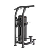 Гравитрон Protrain LFS110 (черный)