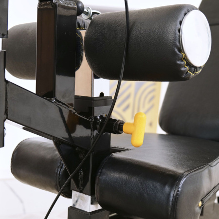 Скамья с вертикальной и горизонтальной тягой Powertec