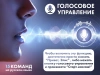 Массажное кресло FUJIMO  氣 FLEXOR Business Edition Grey