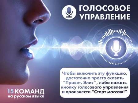 Массажное кресло FUJIMO  氣 FLEXOR Business Edition Grey