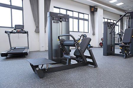 Ягодичный мостик Spirit SP-4315