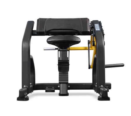 BRONZE GYM PL-1713 Бицепс