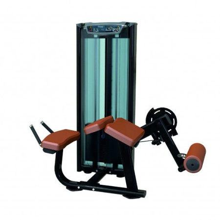 Сгибание ног лежа UG-FU 15