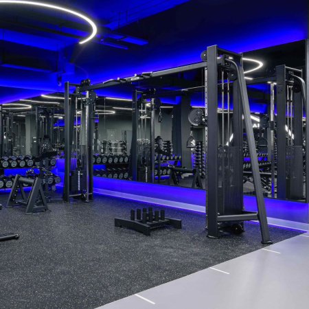 E7016 Кроссовер с изменением высоты. Стек 2x110 кг