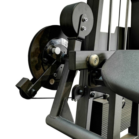 A2087 Бицепс / Трицепс сидя. Стек 100 кг