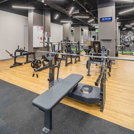 A3146 Скамья-стойка домкратная для жима лежа со страховочными упорами