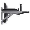 Брусья настенные DFC Homegym G294