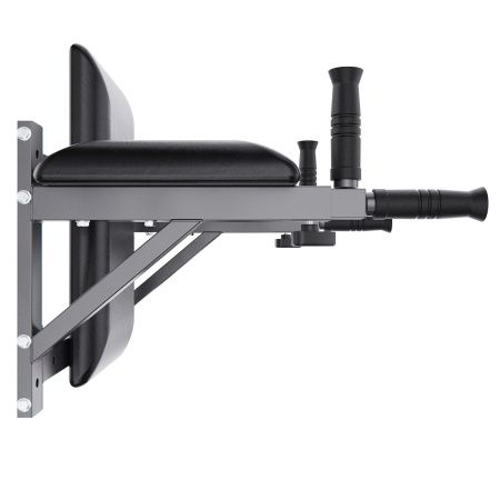 Брусья настенные DFC Homegym G294