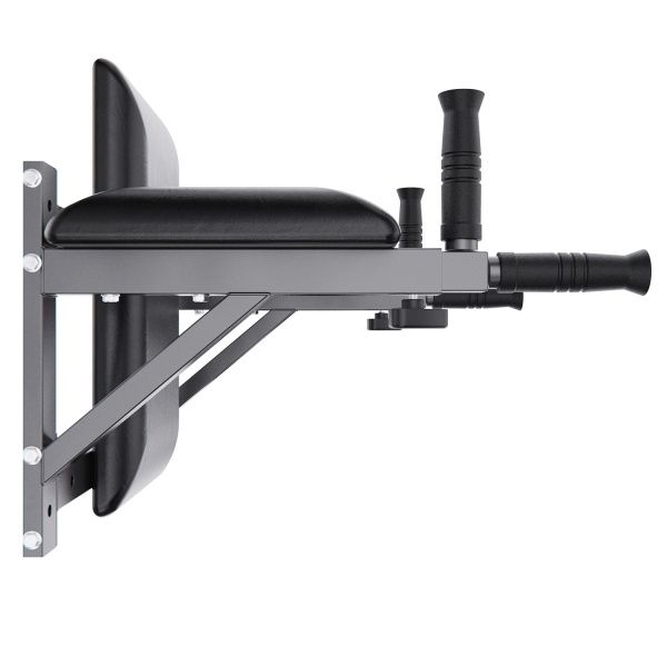 Брусья настенные DFC Homegym G294