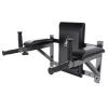 Брусья настенные DFC Homegym G294