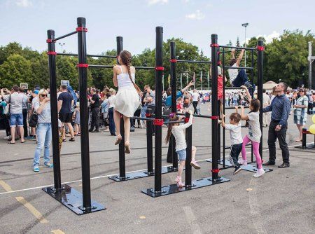 Мобильный комплекс для Воркаут "Профи-5"