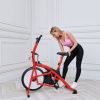 Air Bike DFC Lucky Sport