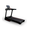 Электрическая беговая дорожка Everyfit 75005