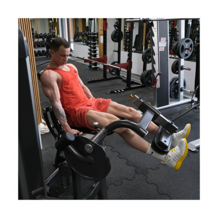 Разгибание ног AnyFit PE201-123