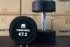 Гантели YOUSTEEL EVO  полиуретановая 47,5 кг