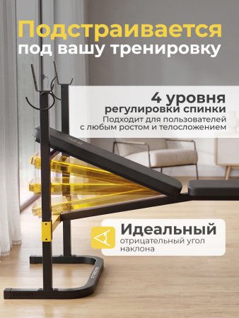 Скамья со стойками под штангу с опциями DFC SPORTSOUL SBE3Q