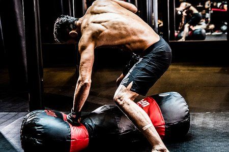 Мешок для грэпплинга UFC с наполнителем